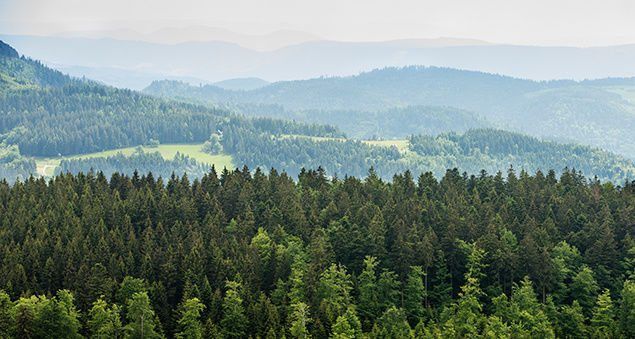 facts about germany